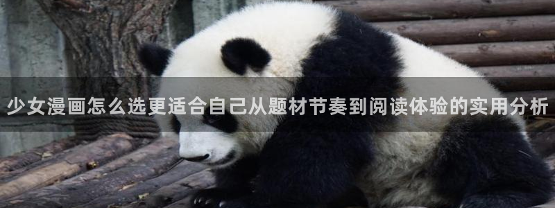 羞羞漫画免费网页入口